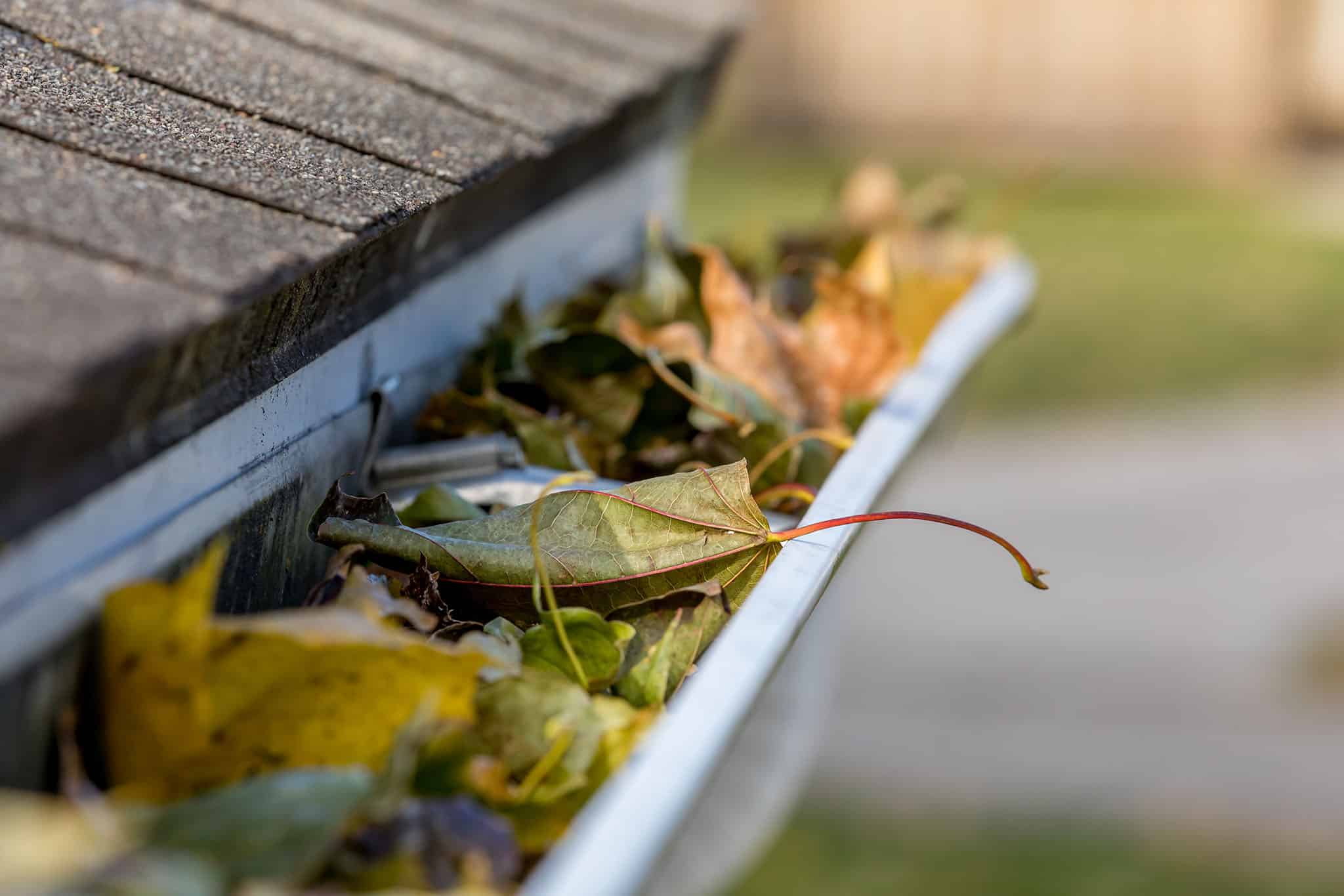 5 Reasons You Need To Clean Your Gutters American Brothers